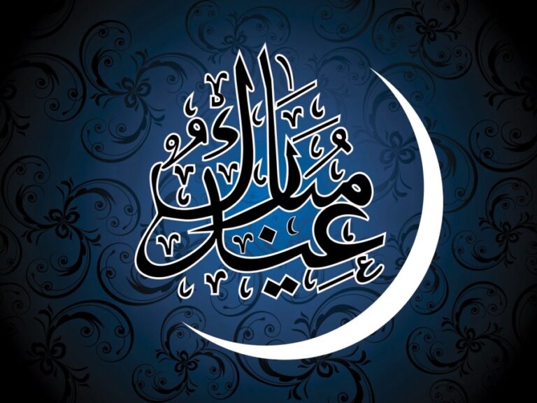 زكاة الفطر