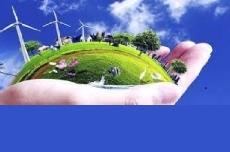 دور الوقف في التنمية المستدامة