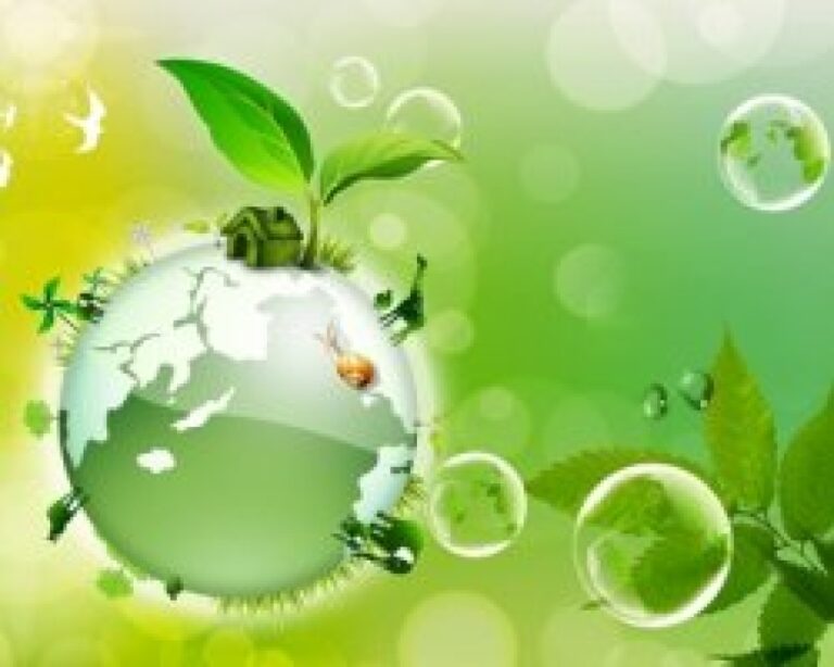 ما التنمية التي نريد؟؟